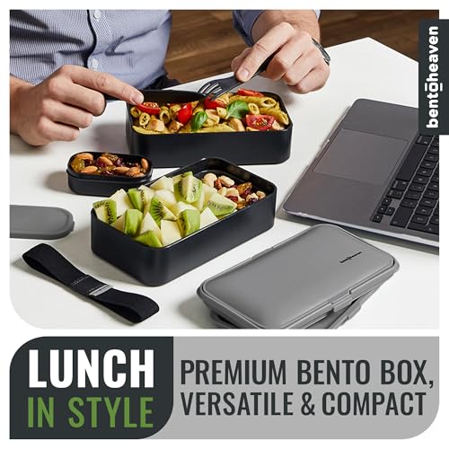 Bento Box Adult