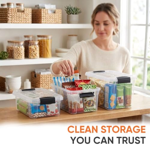 1.05 Quart Mini Clear Plastic Storage Container with Lid (1.05 Quart)