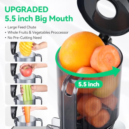 Cold Press Juicer (5.5 inch Feed Chute)