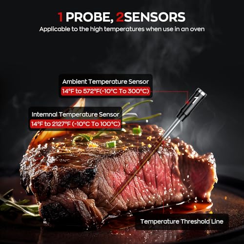 Smart Wireless Meat Thermometer with Dual Probes