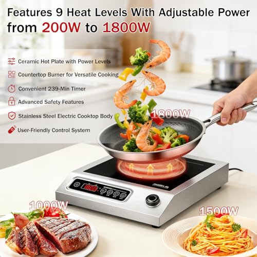 Portable Electric Stove