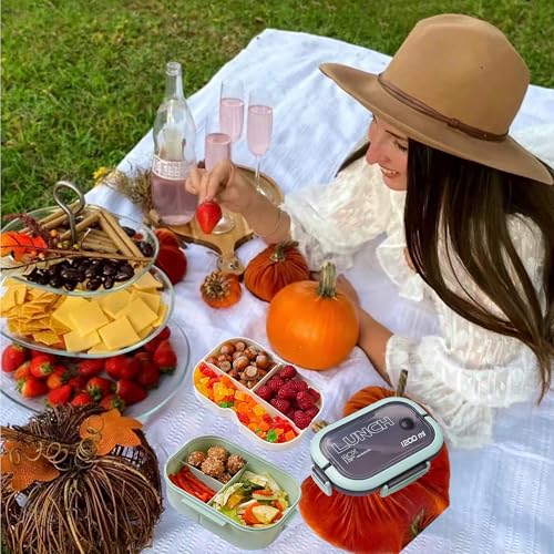 Double Layer Bento Box with Cutlery