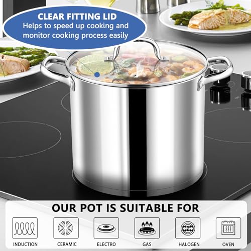 12 QT Stainless Steel Stock Pot with Lid (12 Quarts)