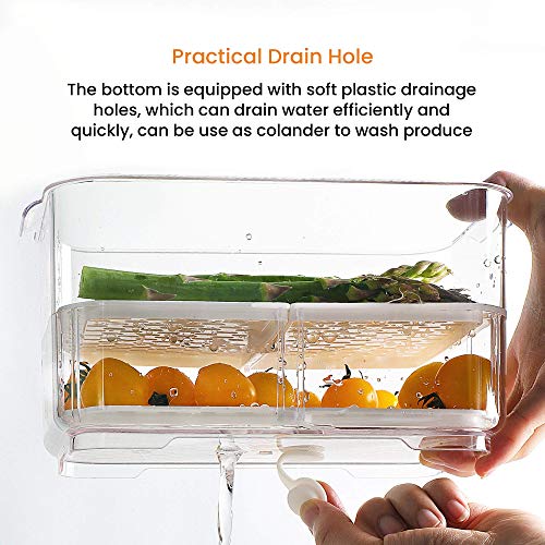 Produce Saver with Lids (M+L)