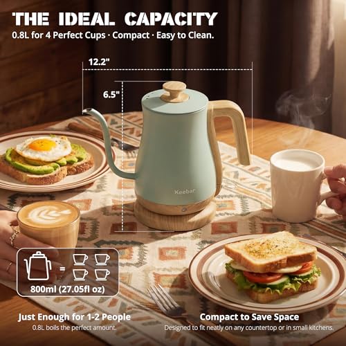 Gooseneck Electric Kettle (Light Green / 0.8 Quarts)