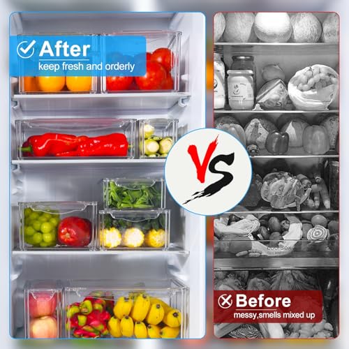 10 Pack Food Storage Organizer Bins (10 Pcs Food Storage Containers)