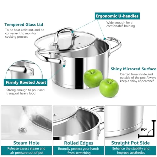 6 Quarts Stock Pot with Lid (6 Quarts)