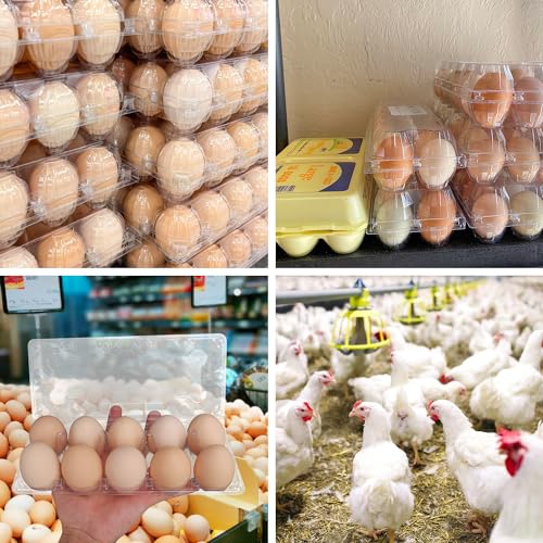 98 Pack Bulk Egg Cartons (98 Pack Egg Cartons 10 Grids)