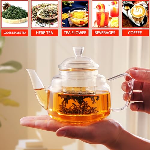 Glass Teapot with Removable Infuser (20oz(600ml))