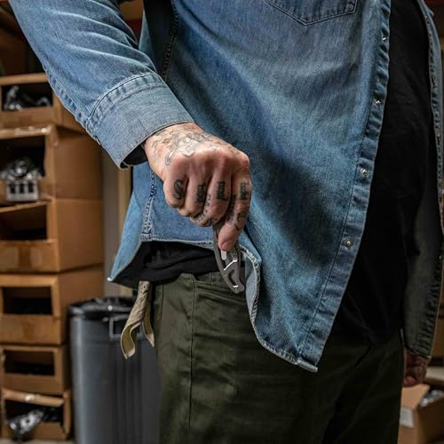 Gear Paraframe I EDC Folding Pocket Knife (3" / Paraframe I (Fine Edge - Gray))