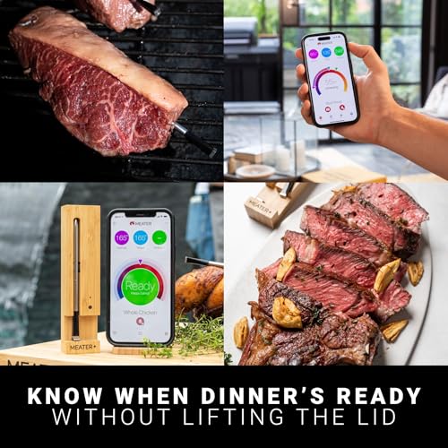 Plus Smart Meat Thermometer