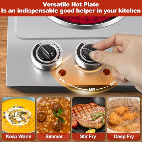 Hot Plate for Cooking (Infrared Silver / Double)