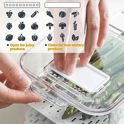 Fresh Produce Saver for Refrigerator (S+S+L)