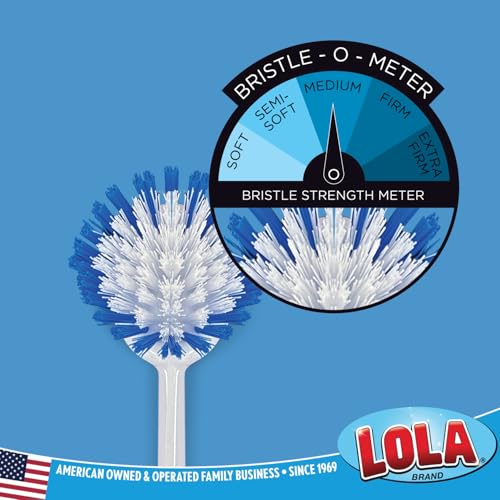 Dish Brush Kitchen Scrubber (Dish Brush Scrubber / 1 Count)