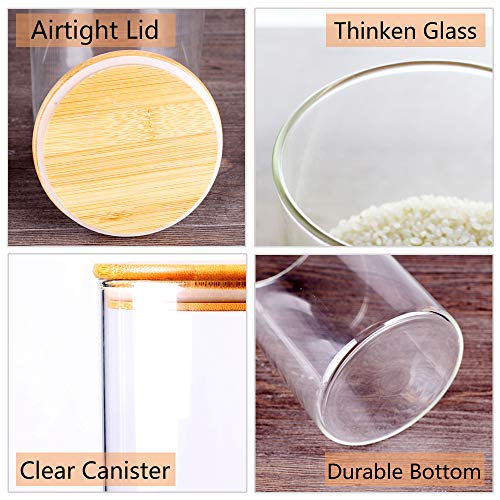 Glass Rice Storage Containers (4.7 IN - 1Pack)