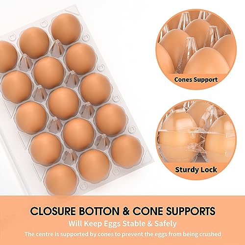 Egg Cartons Cheap Bulk 100 Pack (100Pack-2x6 Grids)
