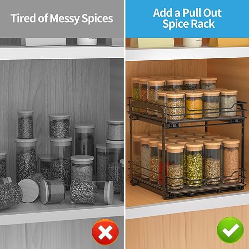 2 Tier Spice Rack