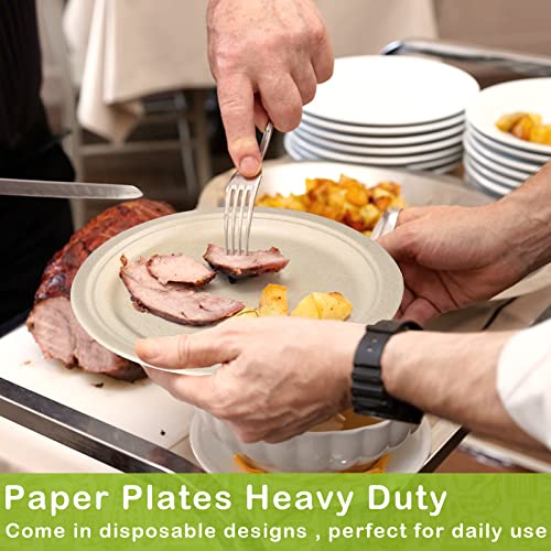 500 Pack Compostable Paper Plates 9 inch (9 inch 500 pack)