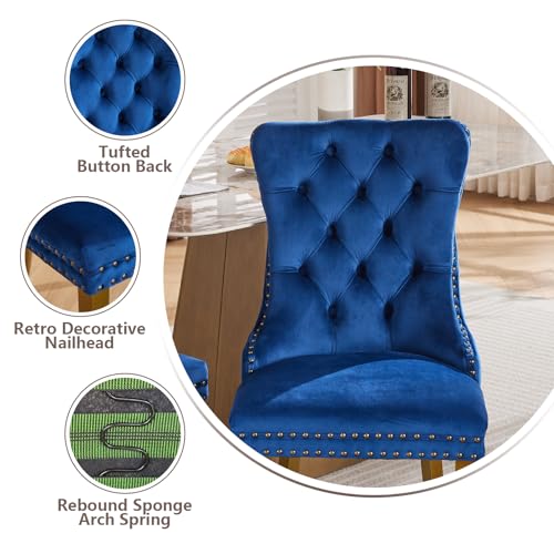 Blue Velvet Dining Chairs Set of 2 (Navy Blue)
