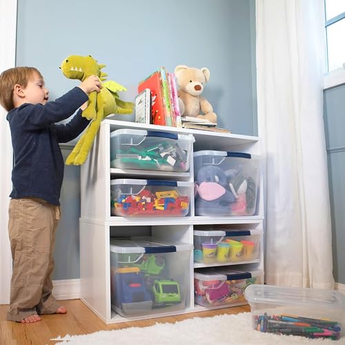 Cleverstore Clear Dorm Variety 16 (Variety - 16 Pack)
