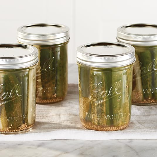 Glass Mason Jars Regular Mouth 16oz (Clear / 16 Ounce (Pack of 24))