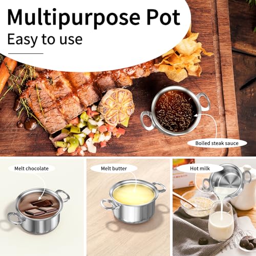 Mini Sauce Pan with Lid (0.42 QT / Silver)