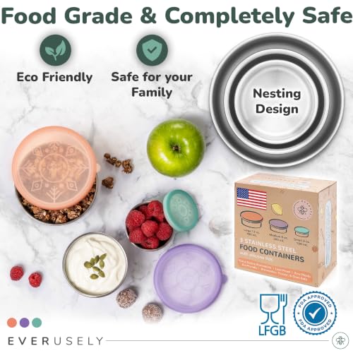Stainless Steel Snack Containers (Semi-Clear)