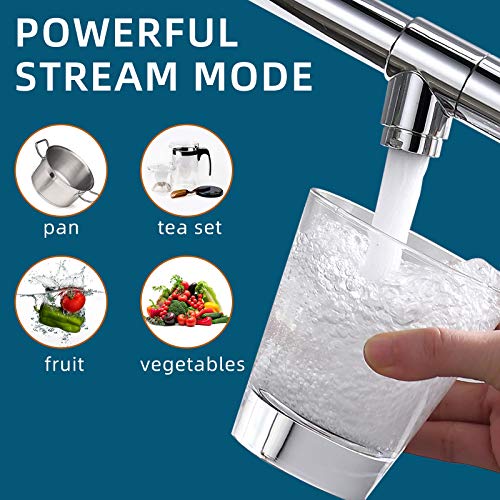 Chrome Kitchen Faucet with Sprayer (Chrome)