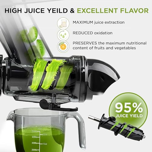 Cold Press Juicer Machine (Black)