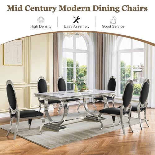 Modern Dining Chairs Set of 2 (Black/Silver / Set of 2)