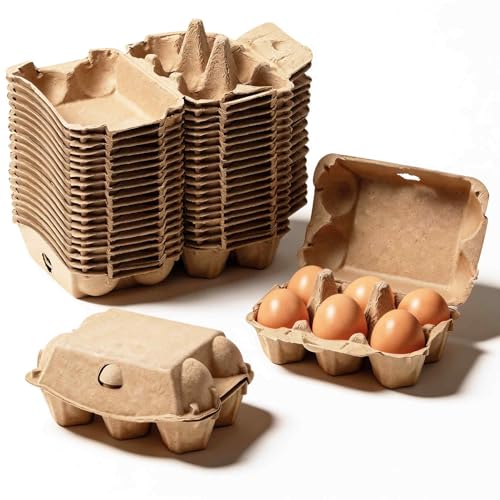 20 Pack Egg Cartons Cheap Bulk (6 Count, 20 Pack)