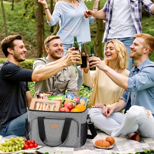 Insulated Lunch Box for Men (Gray / Mega (33L))