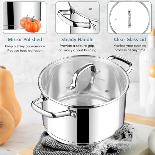 6 Quart Stock Pot with Lid