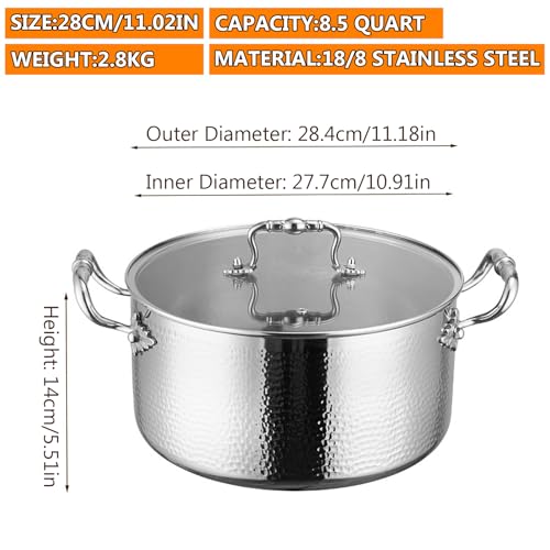 Stainless Steel Stock Pot with Visible Lid for Pasta (8.5 Quarts)