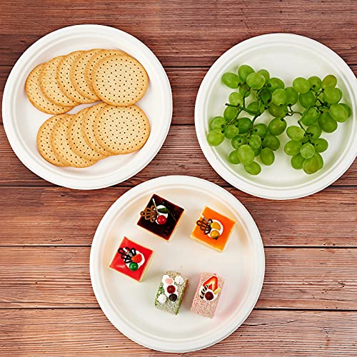 150 Pack Compostable Disposable Paper Plates 10.25 inch Super Strong Paper Plates 100% Bagasse Natural Biodegradable Eco (White / Contemporary)