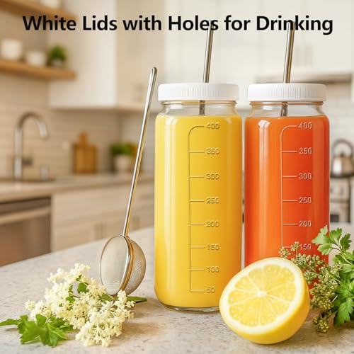 12pack 16oz Glass Juice Bottles with Lids & Straws & Juicing Recipe (Transparent / 16oz-12pack)