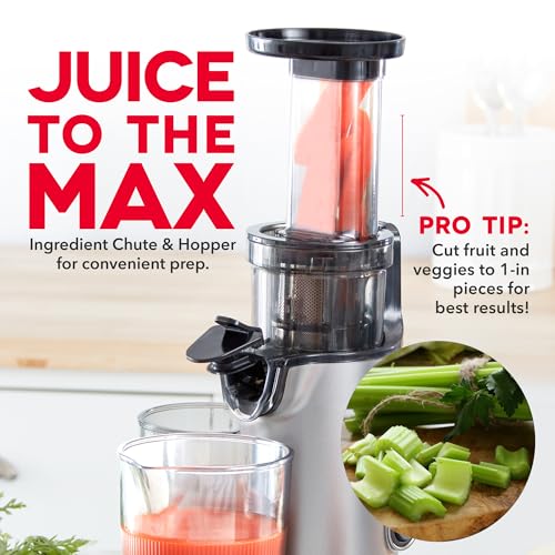 Deluxe Compact Cold Press Juicer (Compact / Graphite)