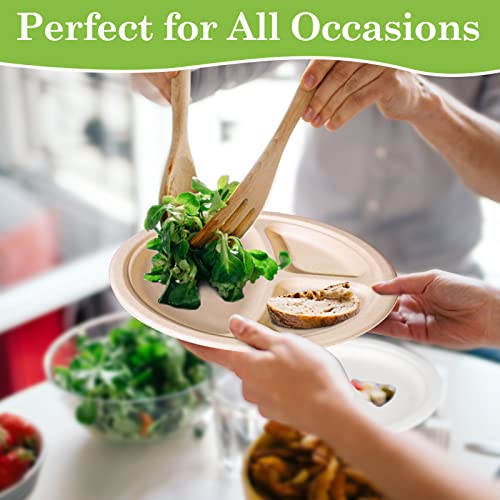 9 Inch Compartment Paper Plates (9 inch sectional 50 pack)