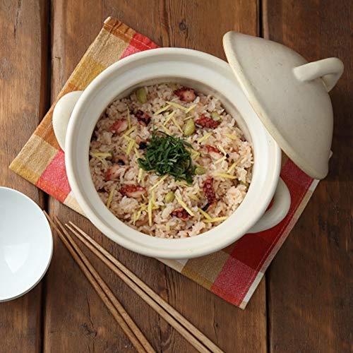 Japanese Donabe Cocer Rice Cooking Pot