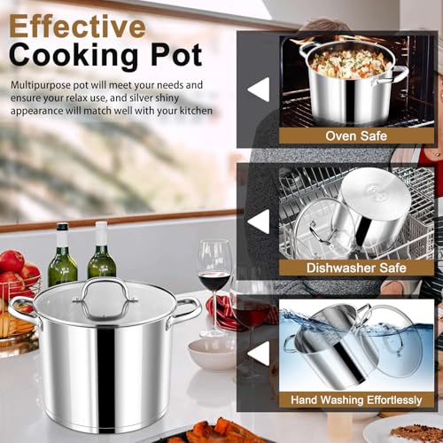 10 QT Stainless Steel Stock Pot with Lid (10 Quarts)