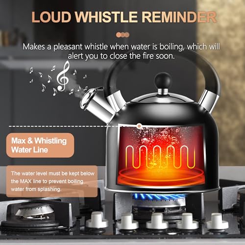 Tea Kettle 3.17QT Stainless Steel Whistling Tea Pot (Black)