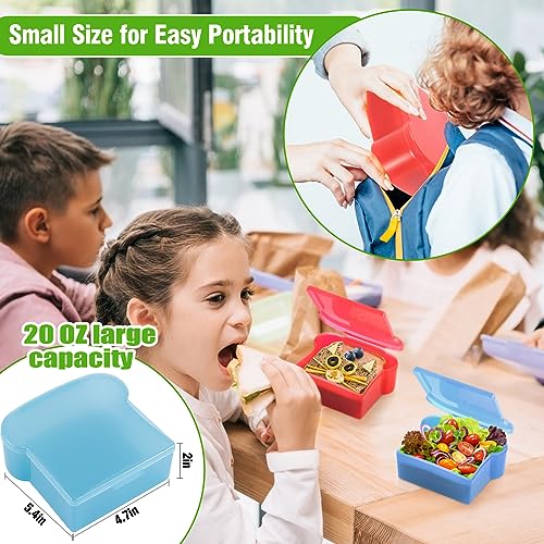 20 Oz Sandwich Containers for Kids (4 Colors)