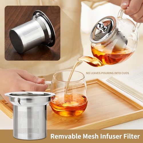 Small Glass Teapot with Infuser (Transparent / 18OZ)