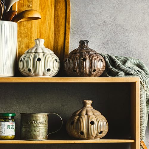 Ceramic Garlic Keeper Jar and Lid (Brown)