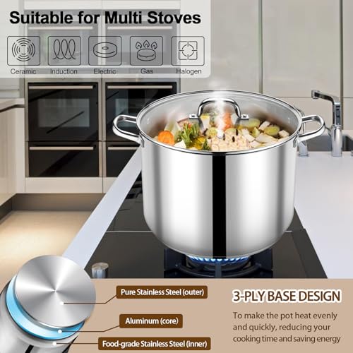 24 QT Stainless Steel Stock Pot with Lid (24 Quarts)