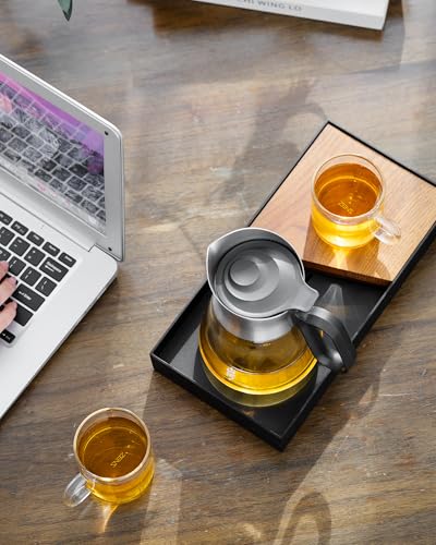 Glass Teapot with Infuser with 2 Cups for Loose Tea Steeper (23 oz (2 Cups))