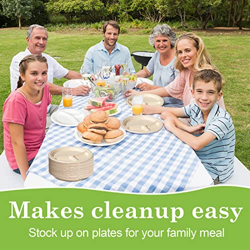 9 Inch Compartment Paper Plates (9 inch sectional 50 pack)