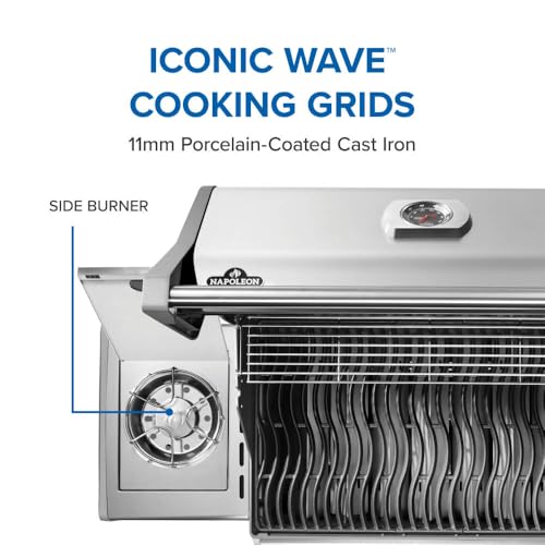 Rogue 525 4 Burner Natural Gas Grill with Range Side Burner (Natural Gas / Stainless Steel / Rogue 525)