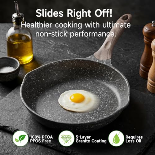 9.5 Inch Nonstick Frying Pan Skillet with Dual Spouts Omelet Egg Pan (Gray / 9.5")