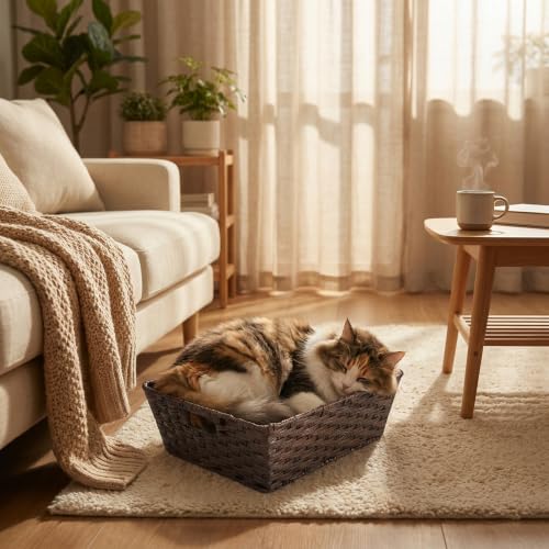 Large 2 Pack Plastic Wicker Storage Baskets (17" x 13" x 5.5" / Brown)